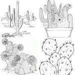 15 Free Cactus Coloring Pages for Kids and Adults