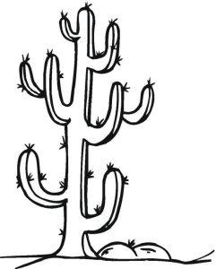 15 Free Cactus Coloring Pages for Kids and Adults