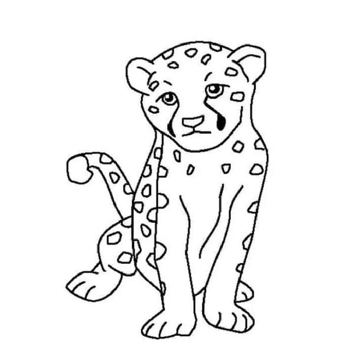 Free Cheetah Girl Coloring Pages