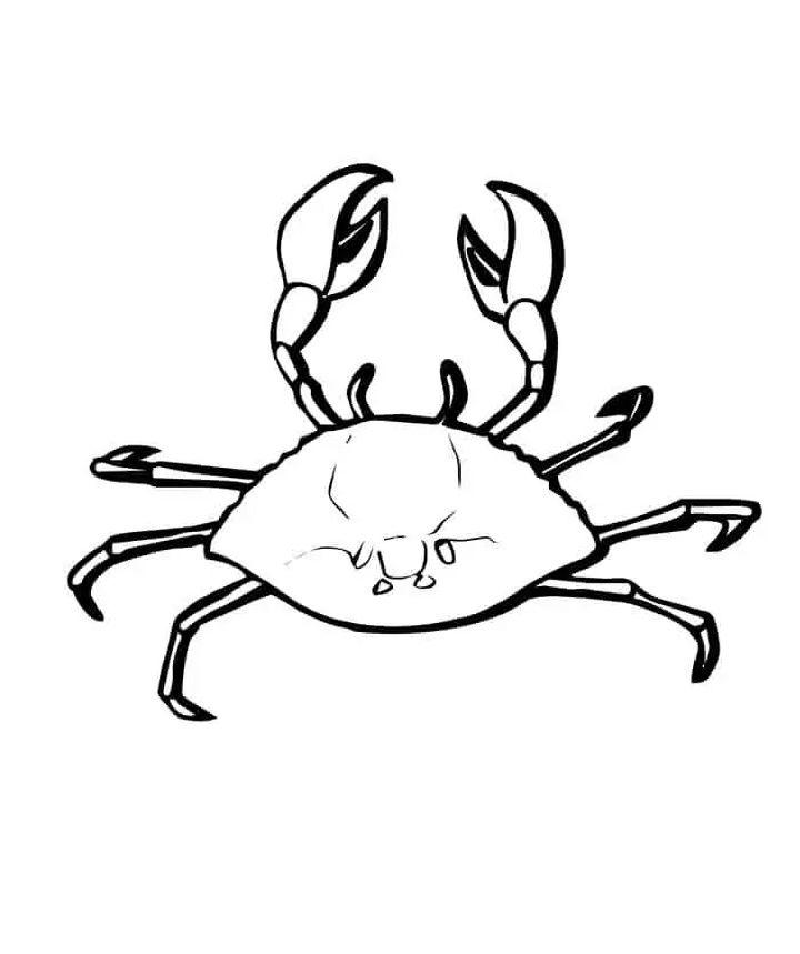 Free Crabs Coloring Pages PDF