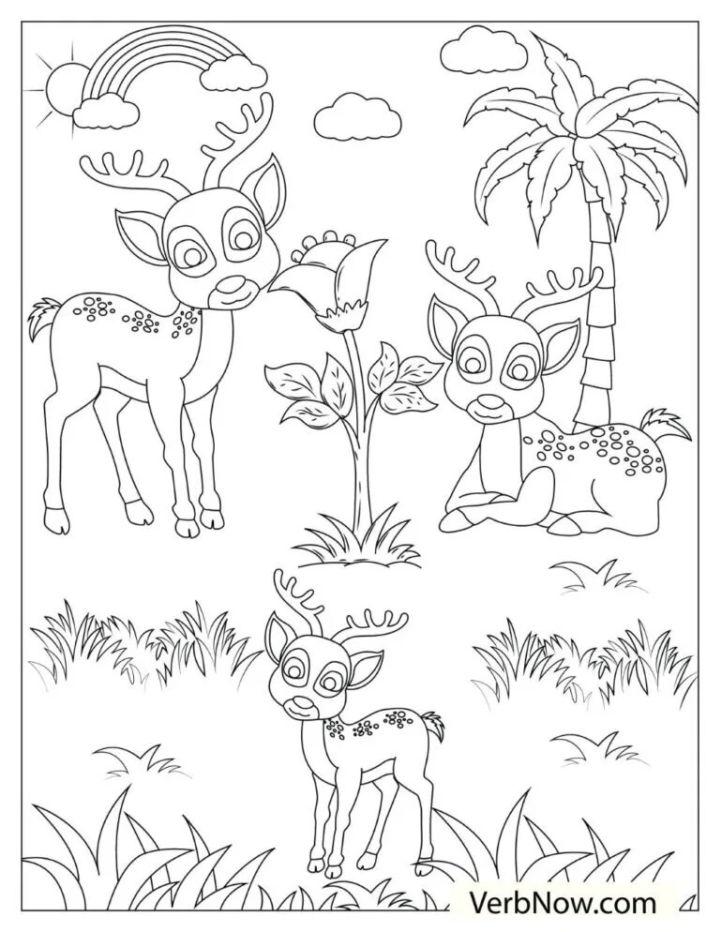 Free Deer Coloring Pages to Download