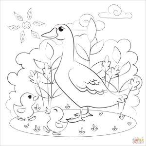 25 Free Duck Coloring Pages for Kids and Adults