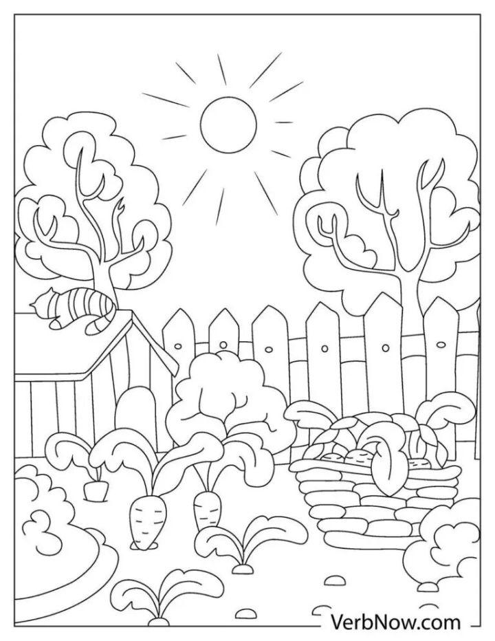 Free Garden Coloring Book Pages