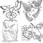 25 Free Hummingbird Coloring Pages for Kids and Adults