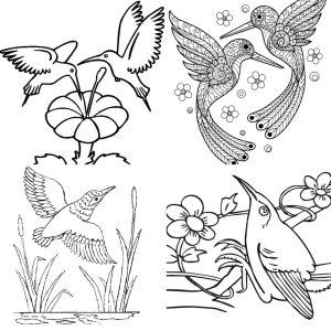 25 Easy and Free Hummingbird Coloring Pages for Kids and Adults - Cute Hummingbird Coloring Pictures and Sheets Printable