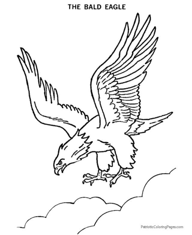 Free Kids Bald Eagle Pictures to Color