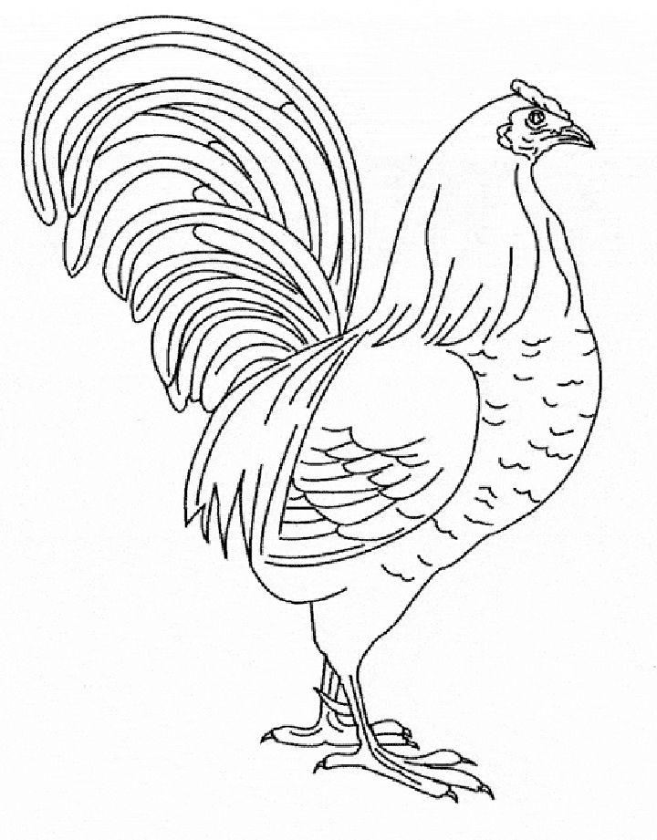 Free Kids Chicken Coloring Pages