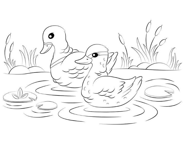 Free Kids Duck Coloring Pages to Print