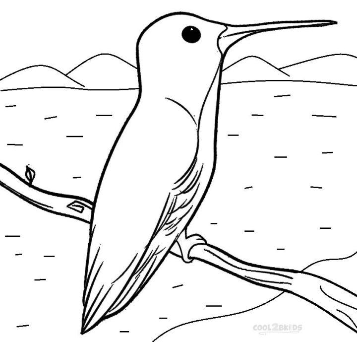 Free Kids' Hummingbird Coloring Pages