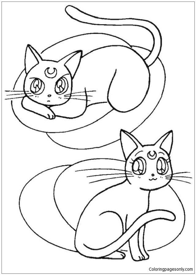 Free Kids' Warrior Cat Coloring Page