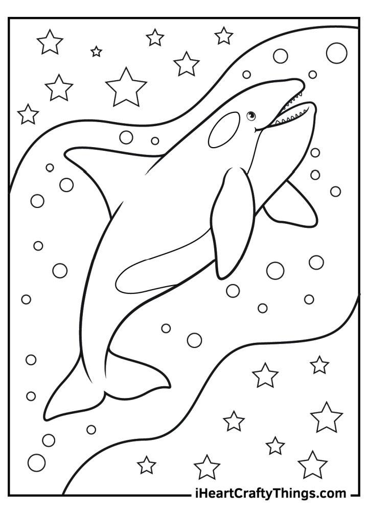 Free Killer Whale Coloring Pages