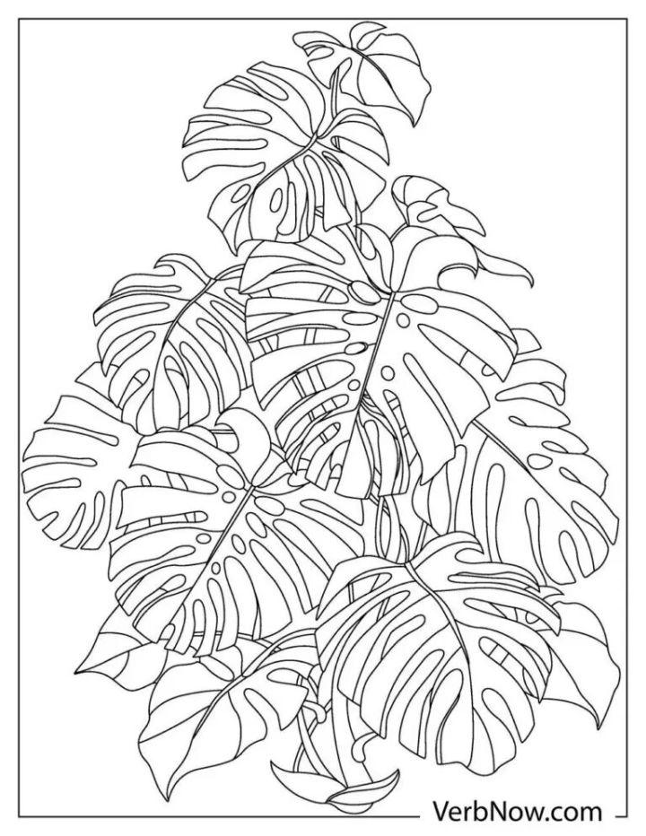 Free Leaves Coloring Book Pages