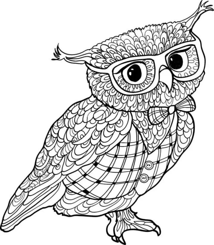 Free Owl Coloring Pages for Download