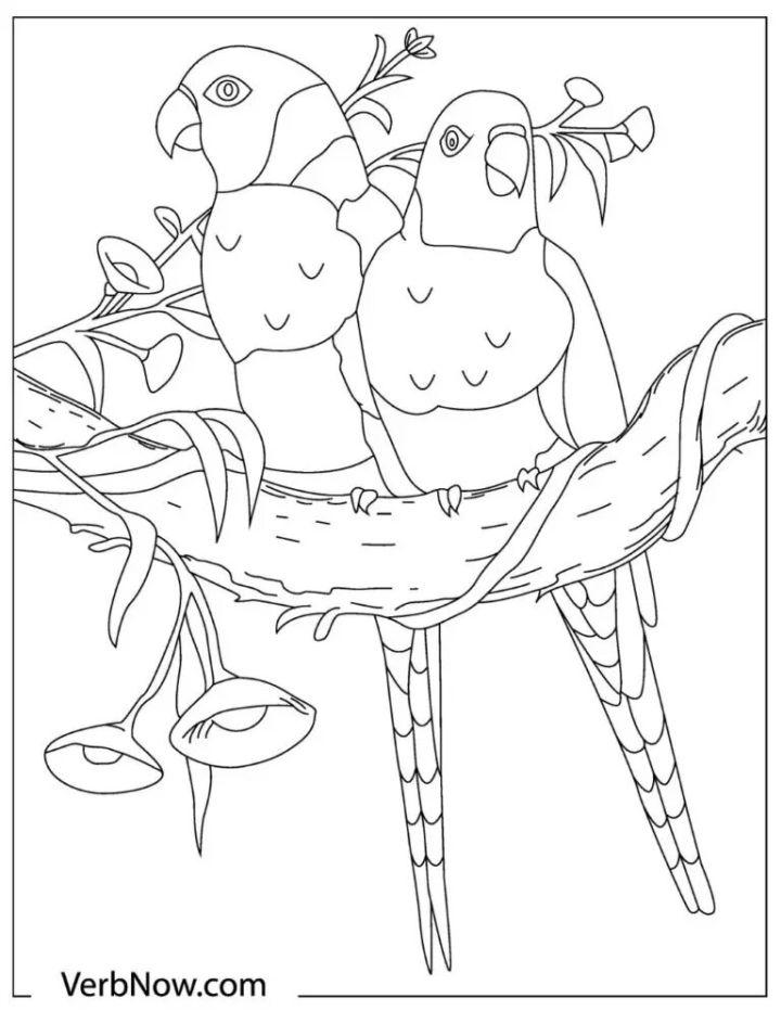 Free Parrots Coloring Pages to Download