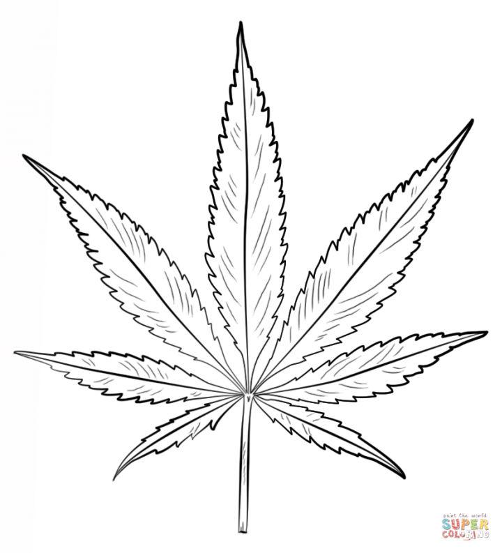 Free Pot Leaf Coloring Pages