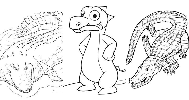 Free Printable Alligator Coloring Pages