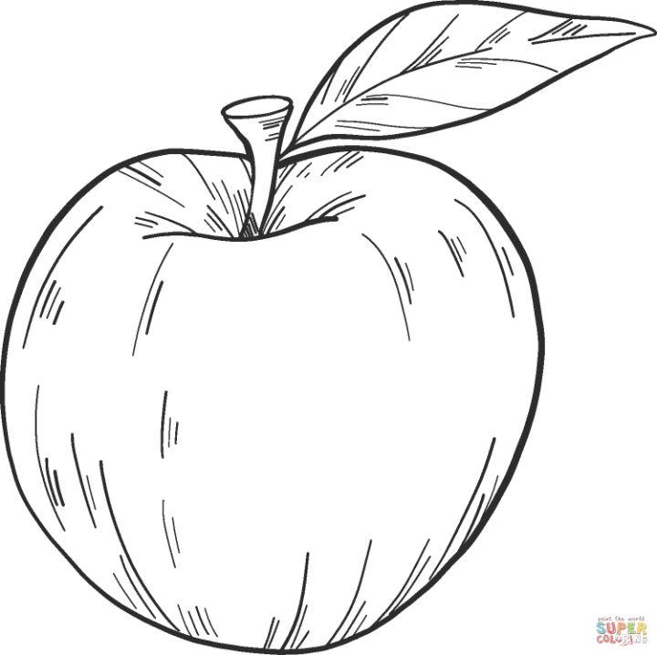 Free Printable Apple Coloring Pages