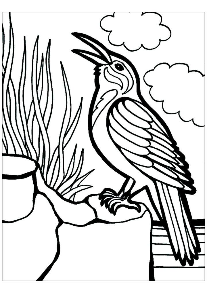 25-free-bird-coloring-pages-for-kids-and-adults
