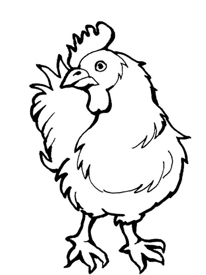 Free Printable Chicken Coloring Pages