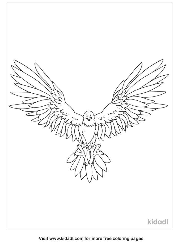 Free Printable Eagle Coloring Pages