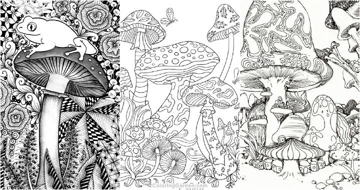 20 Easy and Free Mushroom Coloring Pages for Kids and Adults - Cute Mushroom Coloring Pictures and Sheets Printable