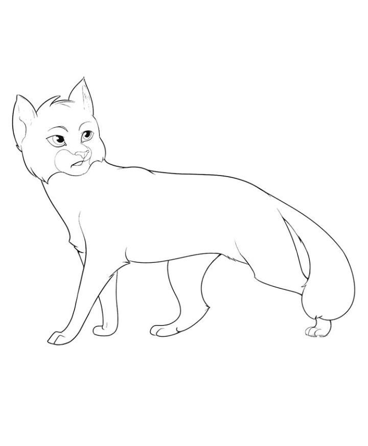 Free, Printable Warrior Cats Coloring Pages