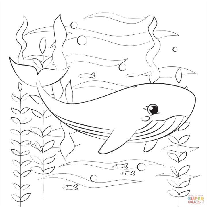 Free Printable Whales Coloring Pages