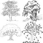 25 Free Tree Coloring Pages for Kids and Adults