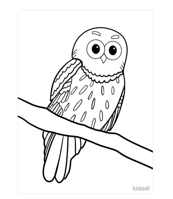 Free and Printable Owl Coloring Pages