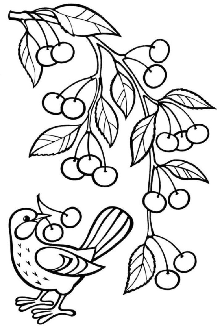 Fruit Coloring Pages, Tracer Pages, and Posters