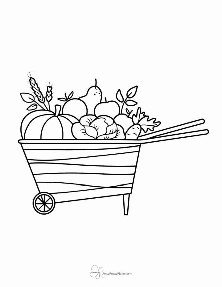 Garden Coloring Pages and Activities
