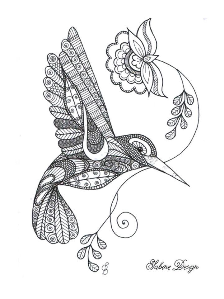 Hummingbird Coloring Pages and Printables