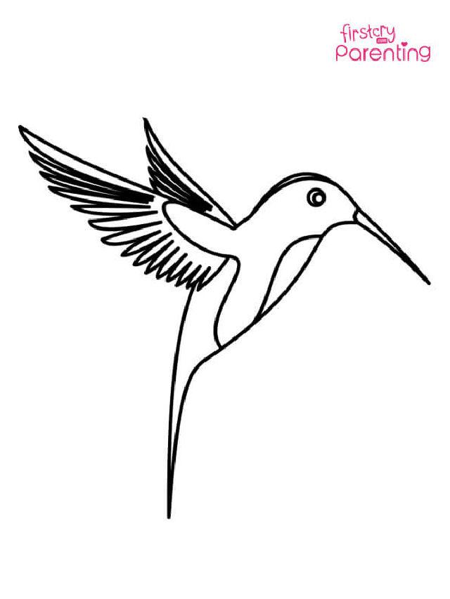 Hummingbird Coloring Pages for Little Ones