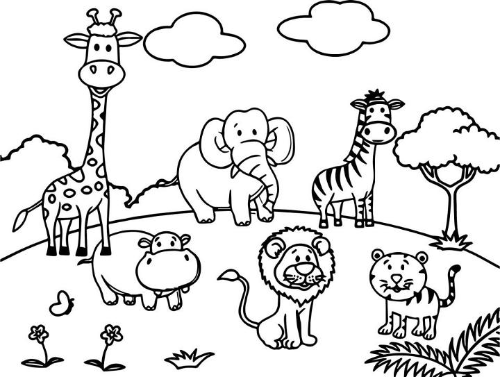 Jungle Coloring Pages for Kids
