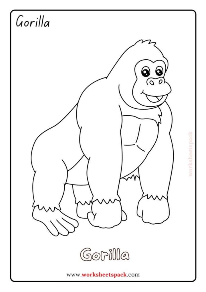 Jungle Coloring Pages for Little Ones