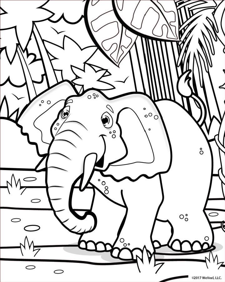 Jungle Coloring Pages for Preschoolers