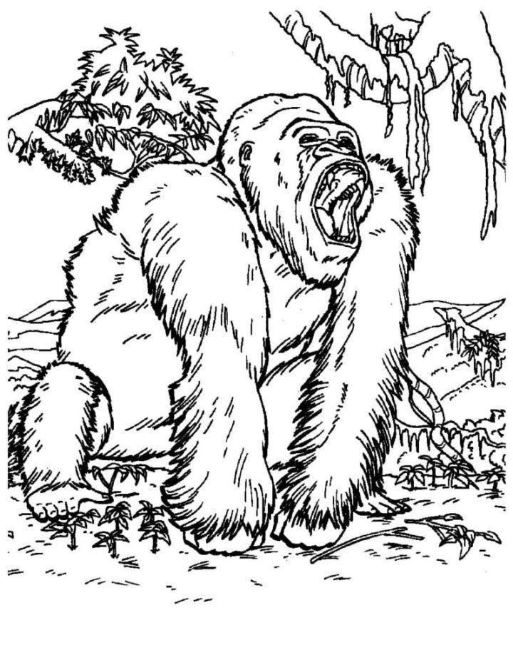 King Kong Coloring Pages and Activities