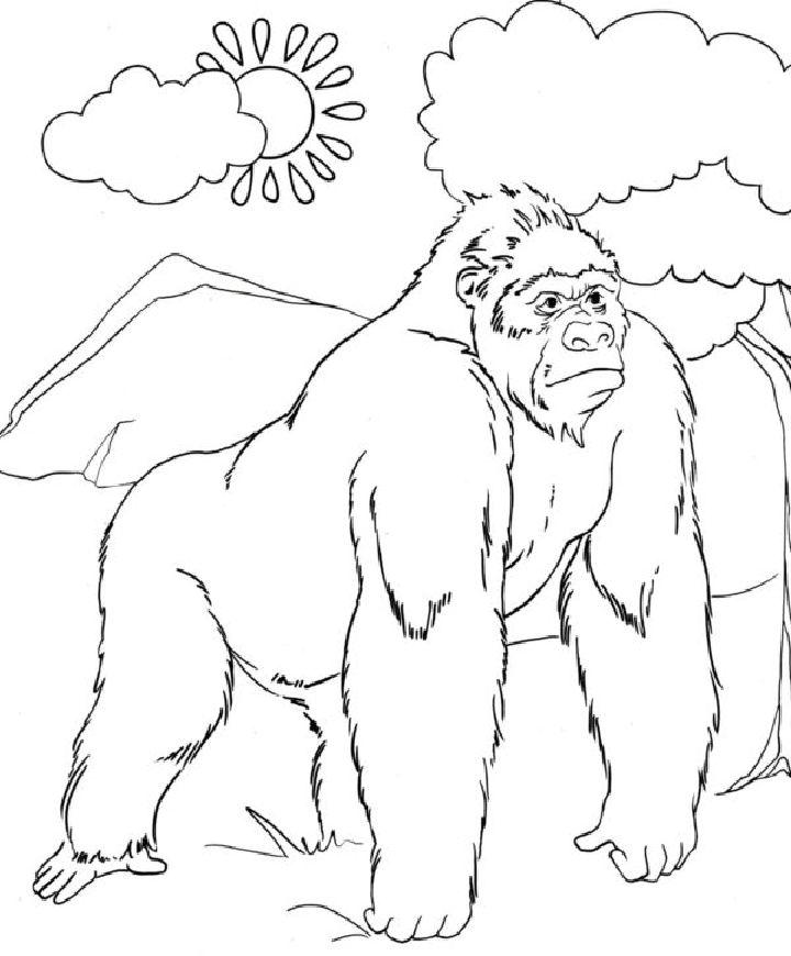 King Kong Coloring Sheets