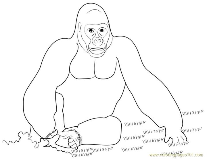 King Kong Gorilla Coloring Page to Print