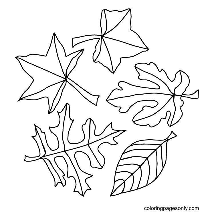 Leaf Coloring Pages, Tracer Pages, and Posters