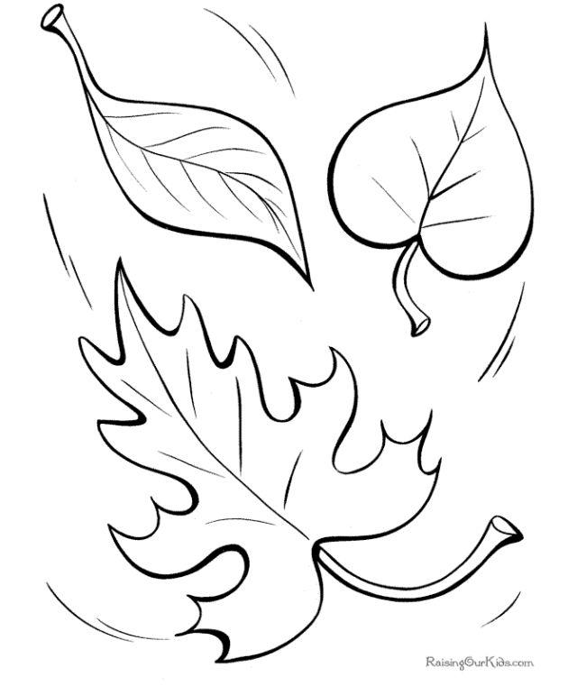 Leaf Coloring Pages for Little Ones