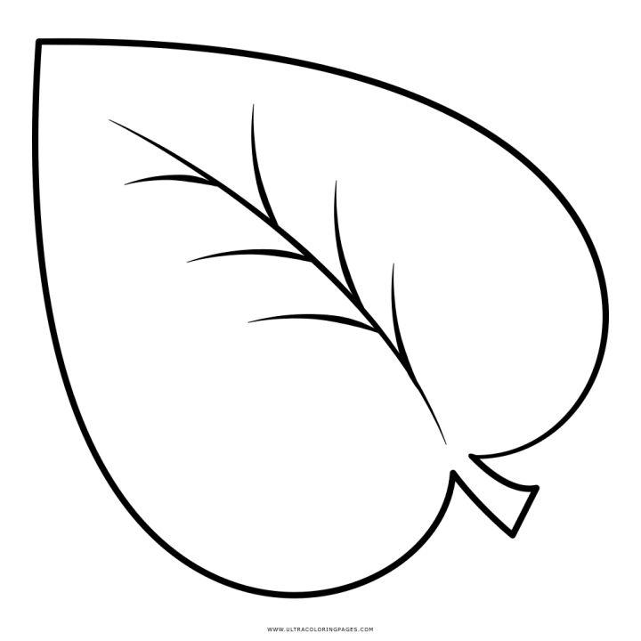 Leaf Coloring Pages to Print