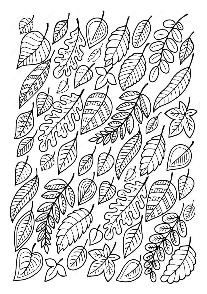 Leaves Coloring Pages for Adults