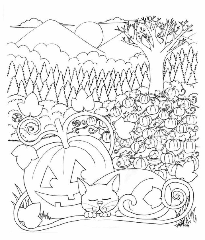 November Coloring Pages for Little Ones