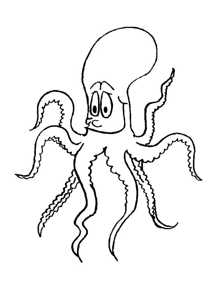Octopus Coloring Pages Tracer Pages and Posters