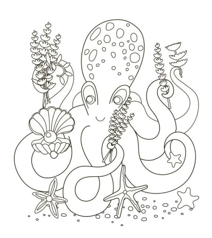 Octopus Coloring Pages for Adults