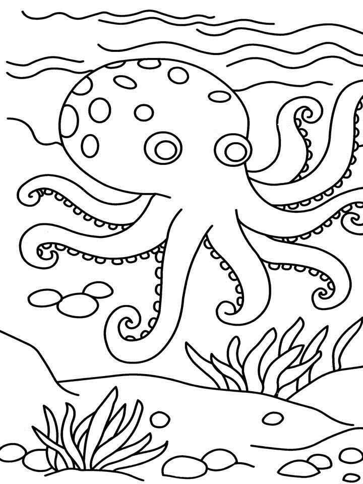 Octopus Coloring Pages for Kids
