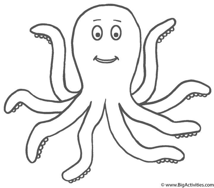 Octopus Pictures to Color