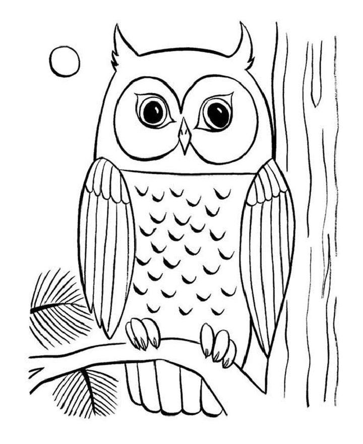 Free Owl Coloring Pages PDF