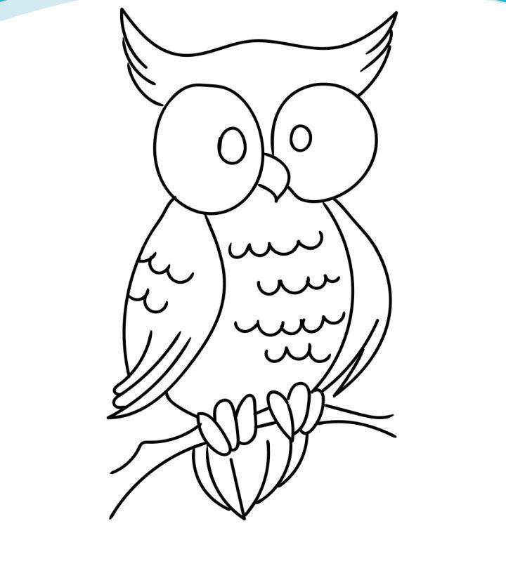 Owl Coloring Pages for Little Ones